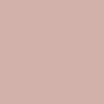 295 Silver Pink