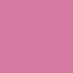 716 Wild Orchid
