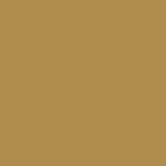 721 Mustard Gold