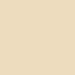 L315 Pale Yellow